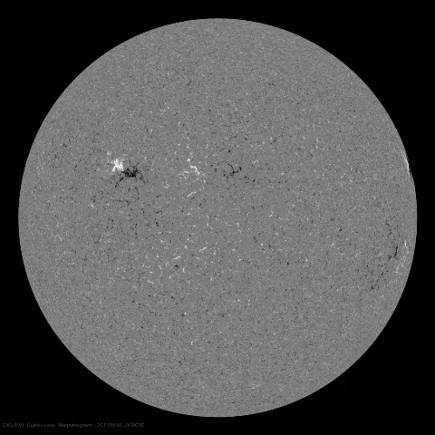 Image of Sun's magnetic field