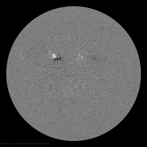 Image of Sun's magnetic field