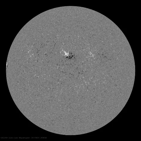 Image of Sun's magnetic field