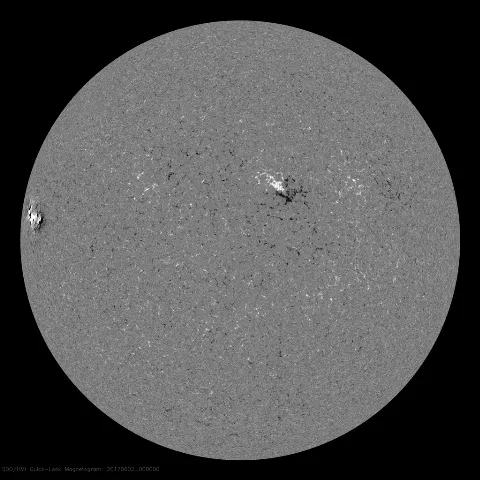 Image of Sun's magnetic field