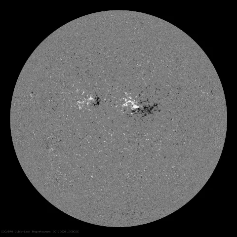 Image of Sun's magnetic field