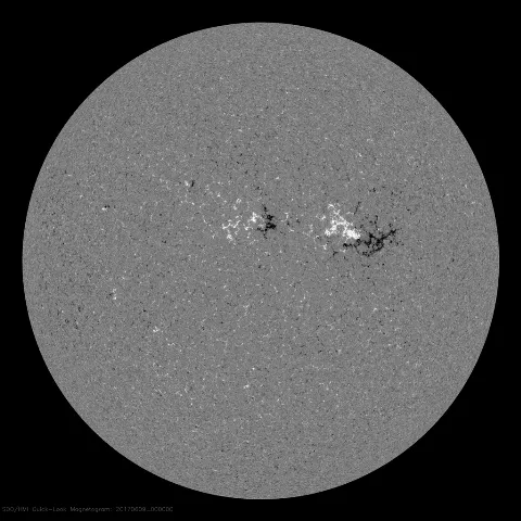 Image of Sun's magnetic field