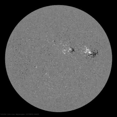 Image of Sun's magnetic field