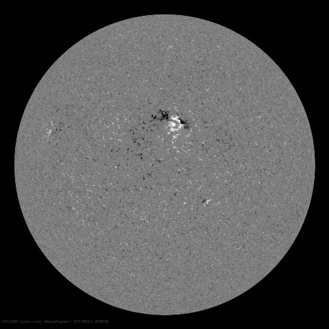 Image of Sun's magnetic field