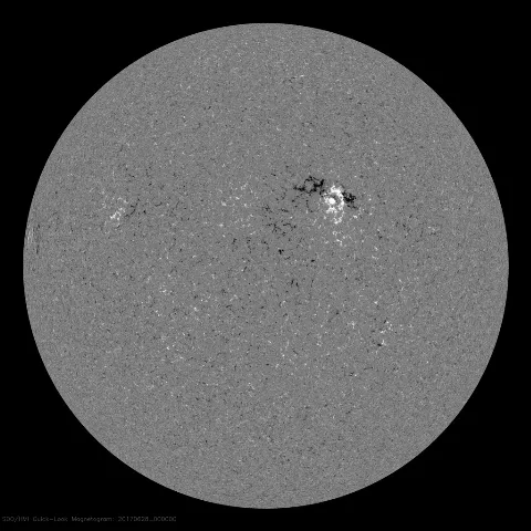 Image of Sun's magnetic field