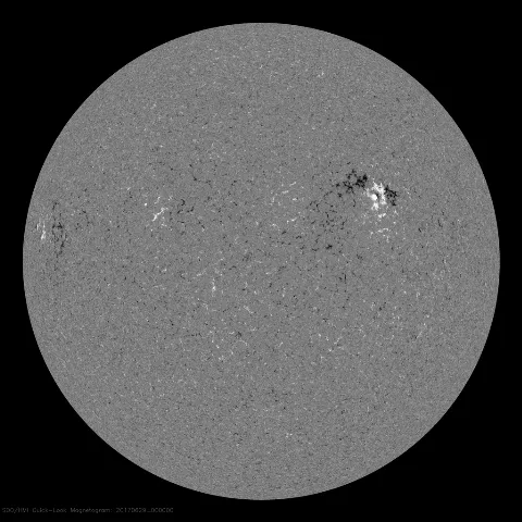 Image of Sun's magnetic field