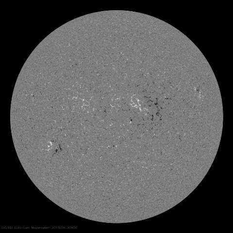 Image of Sun's magnetic field