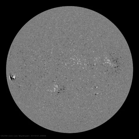 Image of Sun's magnetic field