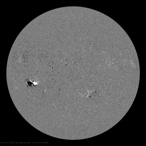 Image of Sun's magnetic field