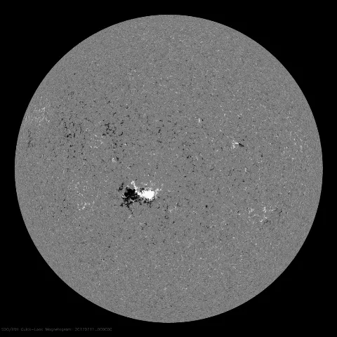 Image of Sun's magnetic field