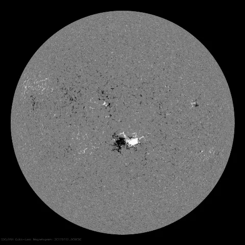 Image of Sun's magnetic field