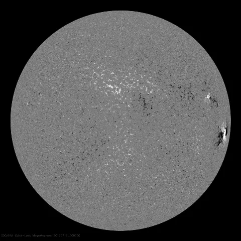 Image of Sun's magnetic field