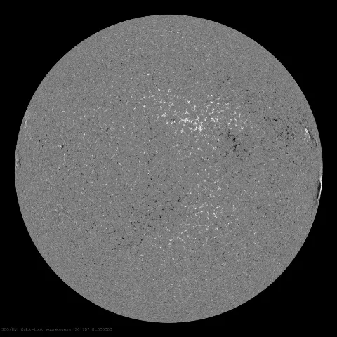 Image of Sun's magnetic field