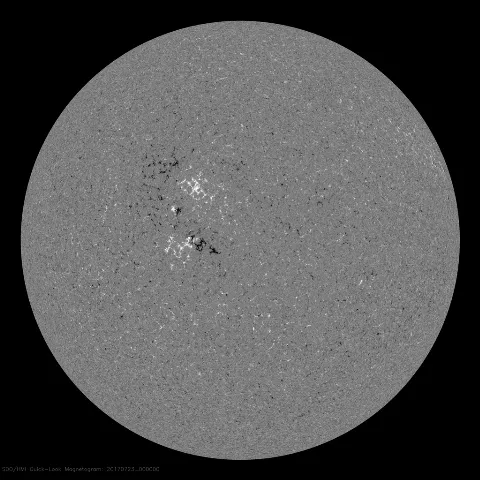 Image of Sun's magnetic field