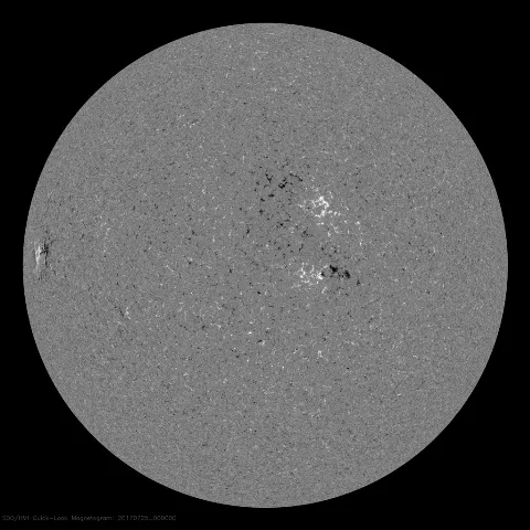 Image of Sun's magnetic field