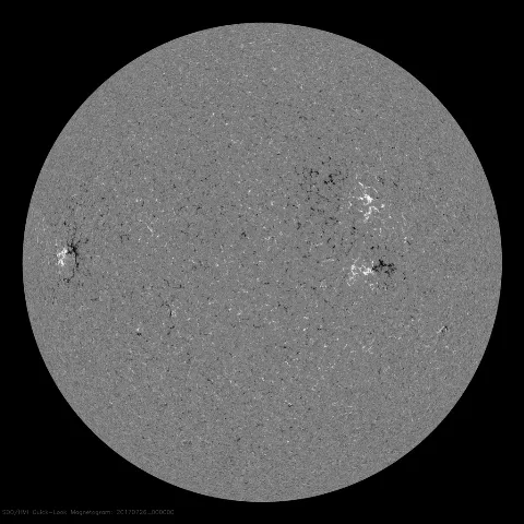 Image of Sun's magnetic field