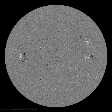 Image of Sun's magnetic field