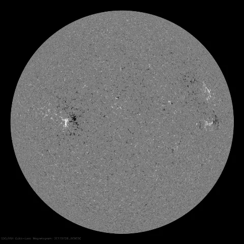 Image of Sun's magnetic field