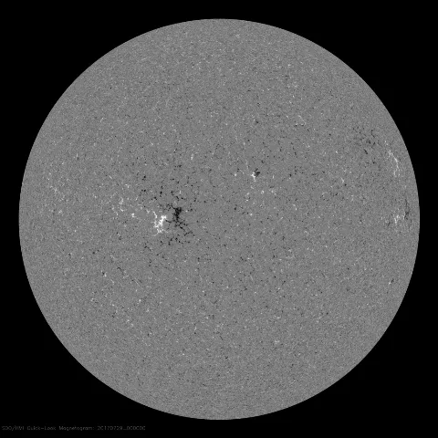 Image of Sun's magnetic field