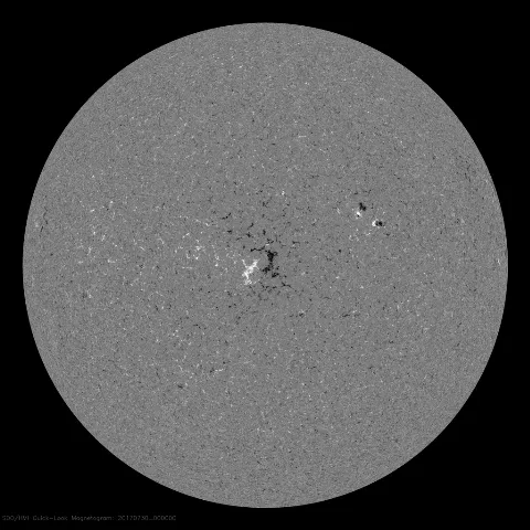 Image of Sun's magnetic field