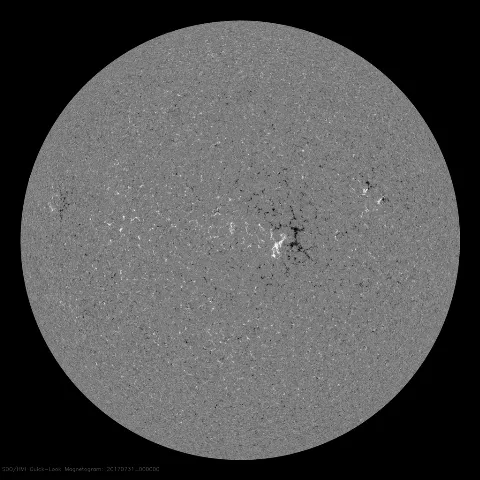 Image of Sun's magnetic field