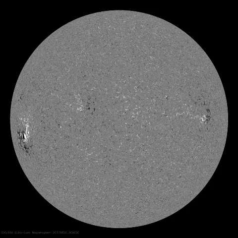 Image of Sun's magnetic field