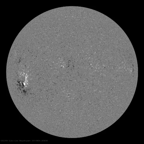 Image of Sun's magnetic field