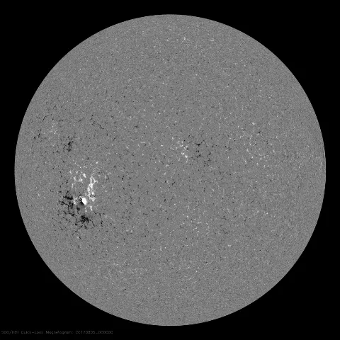 Image of Sun's magnetic field