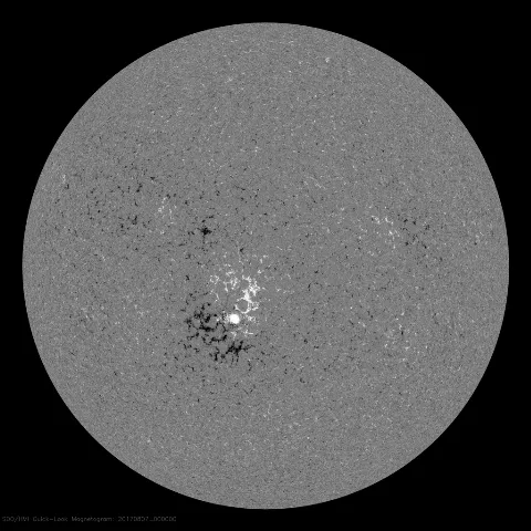 Image of Sun's magnetic field