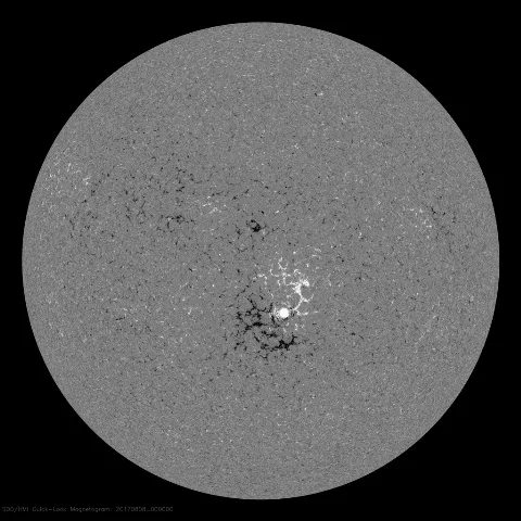 Image of Sun's magnetic field