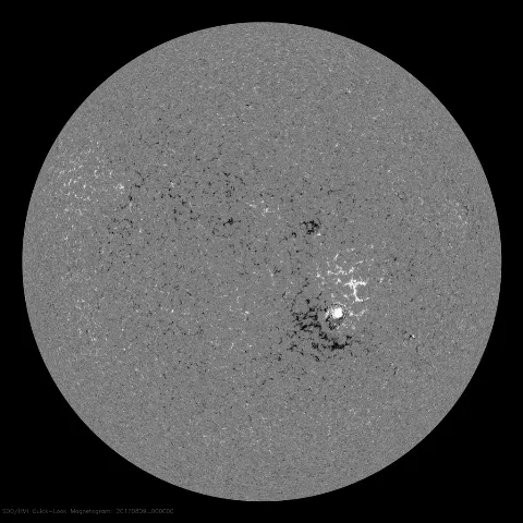 Image of Sun's magnetic field