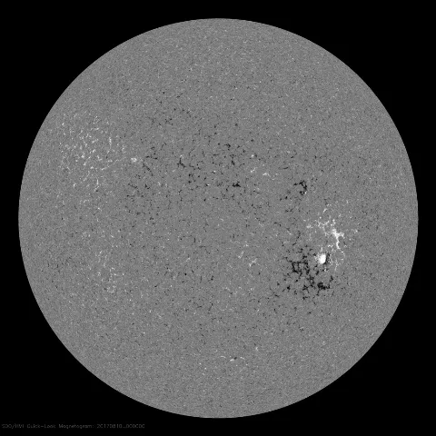 Image of Sun's magnetic field