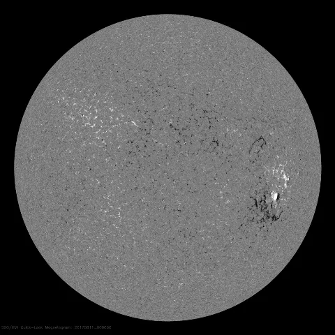 Image of Sun's magnetic field