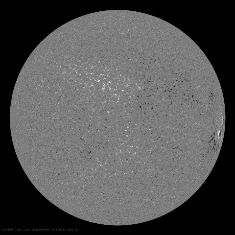 Image of Sun's magnetic field