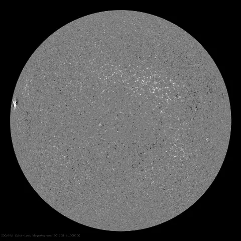 Image of Sun's magnetic field