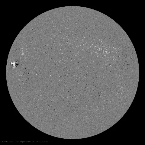 Image of Sun's magnetic field