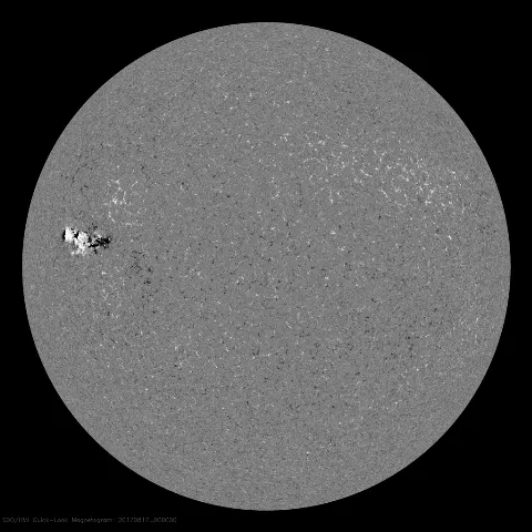 Image of Sun's magnetic field