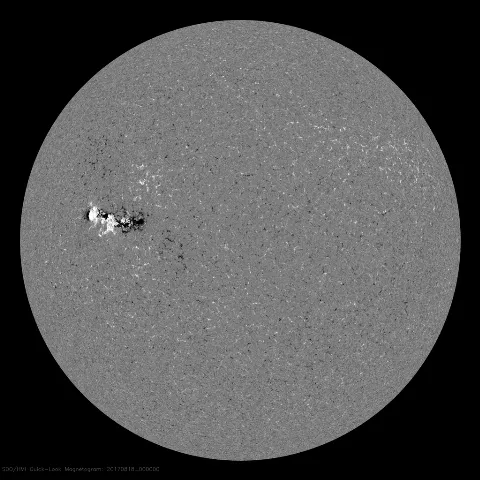 Image of Sun's magnetic field