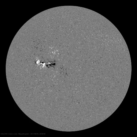 Image of Sun's magnetic field