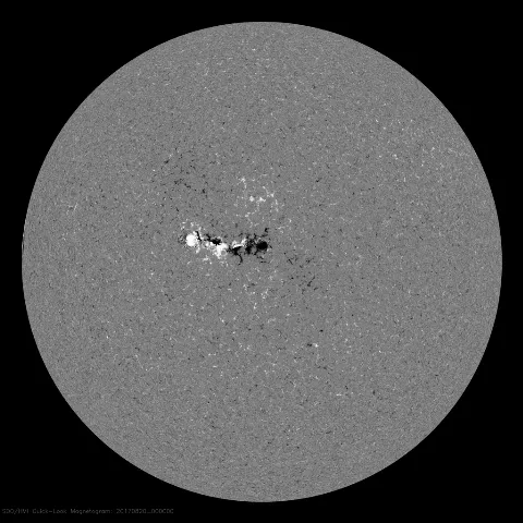 Image of Sun's magnetic field