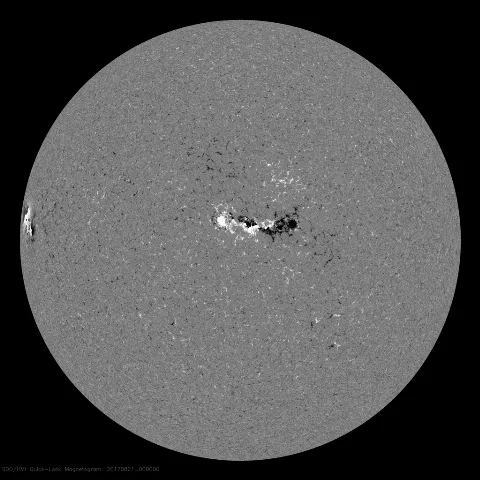 Image of Sun's magnetic field