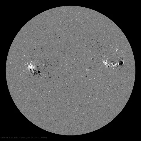 Image of Sun's magnetic field