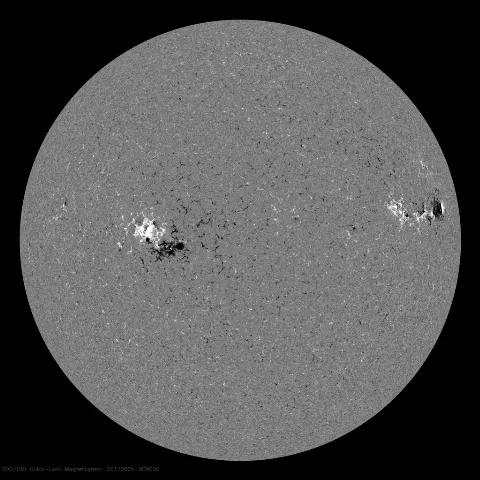 Image of Sun's magnetic field