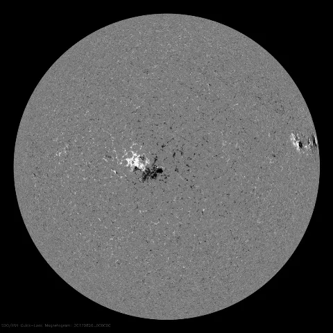 Image of Sun's magnetic field