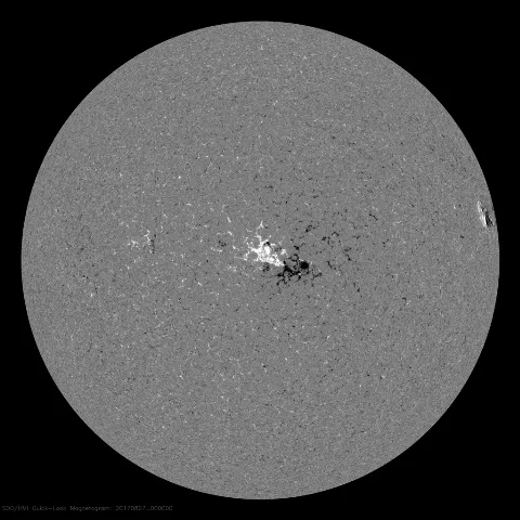 Image of Sun's magnetic field