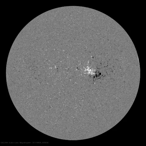 Image of Sun's magnetic field