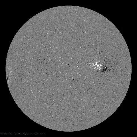 Image of Sun's magnetic field