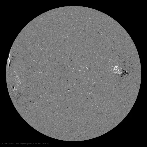 Image of Sun's magnetic field