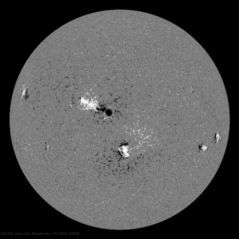 Image of Sun's magnetic field