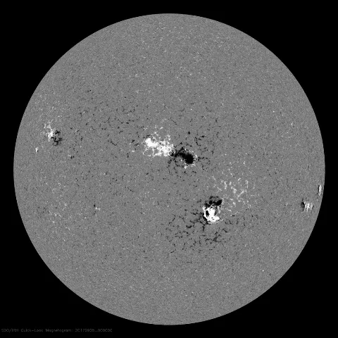 Image of Sun's magnetic field